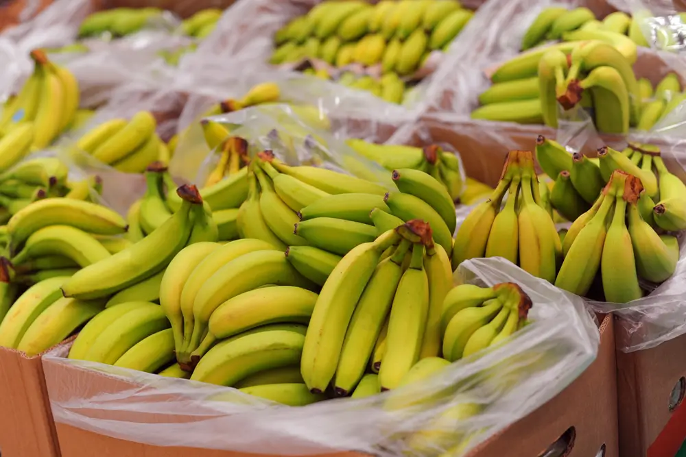 Yellow Bananas