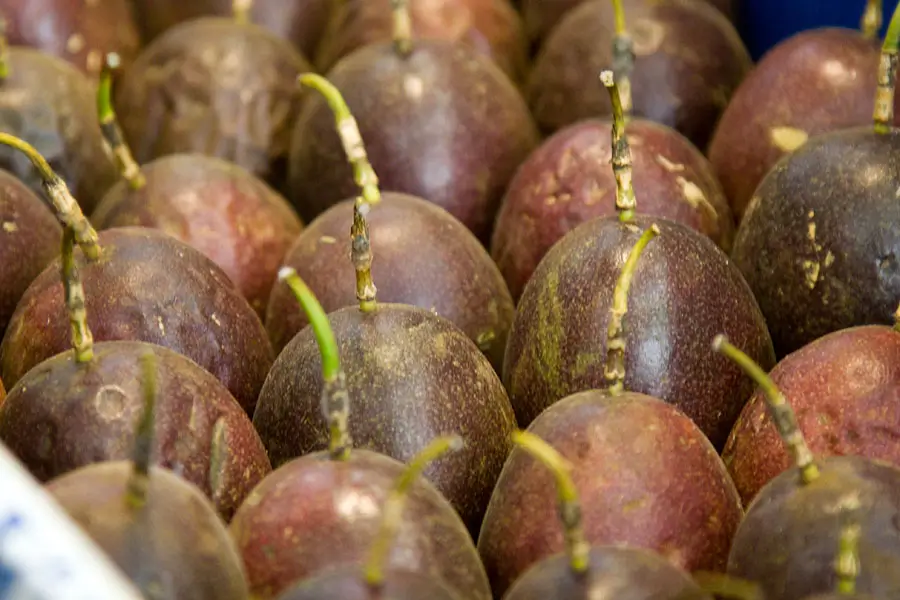 Passion Fruits