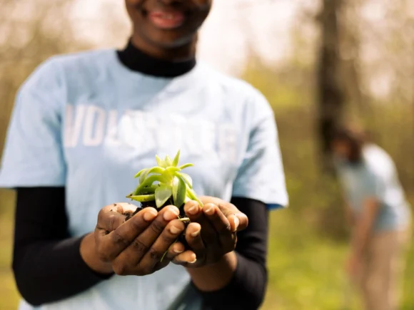 25 startups best to sell organic products